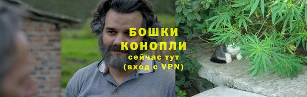 сатива Магадан