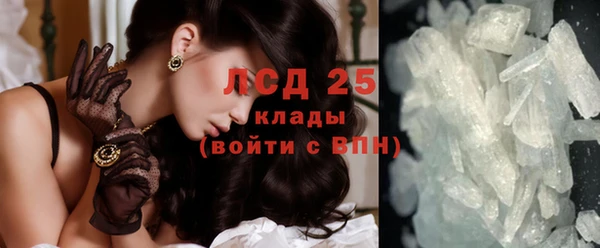 спиды Майский