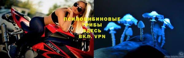 кокс Магас