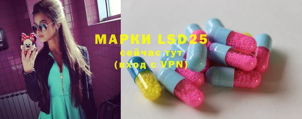 сатива Магадан